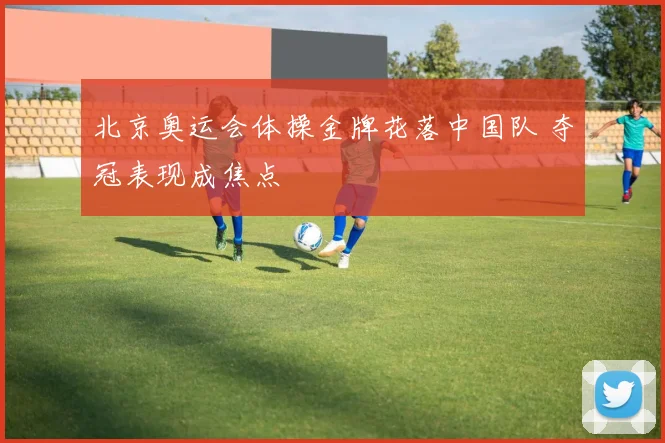 北京奥运会体操金牌花落中国队 夺冠表现成焦点
